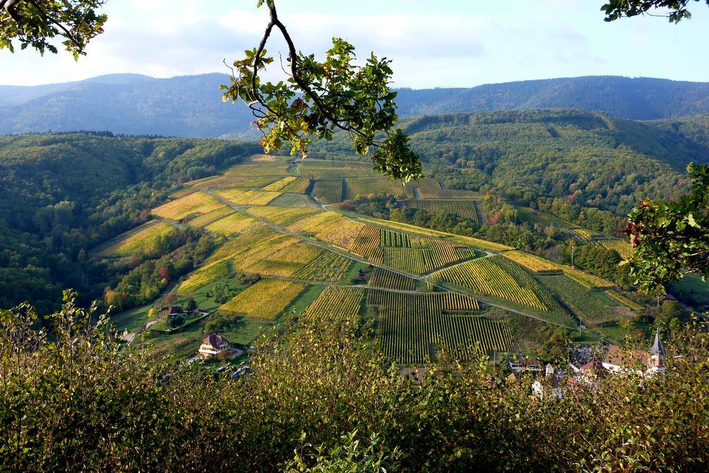 Gite Schlitteur Et Sapiniere Breitenbach 외부 사진