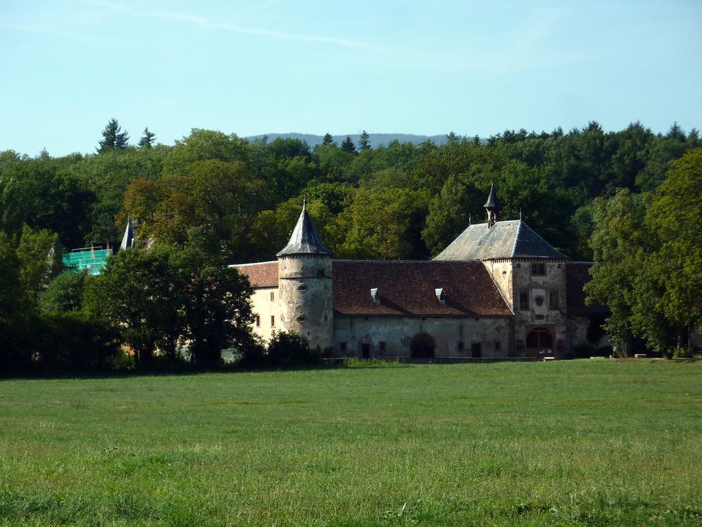 Gite Schlitteur Et Sapiniere Breitenbach 외부 사진