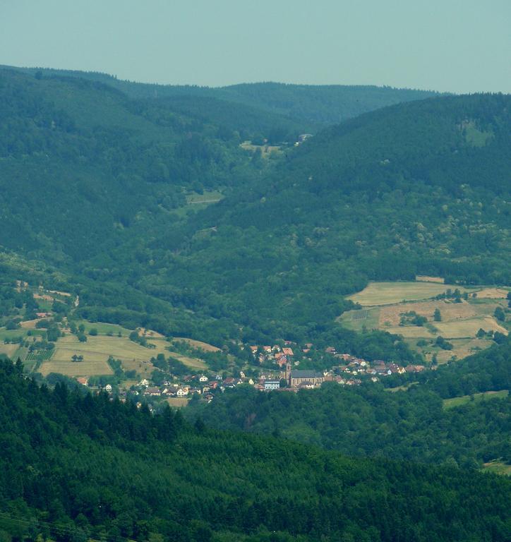 Gite Schlitteur Et Sapiniere Breitenbach 외부 사진