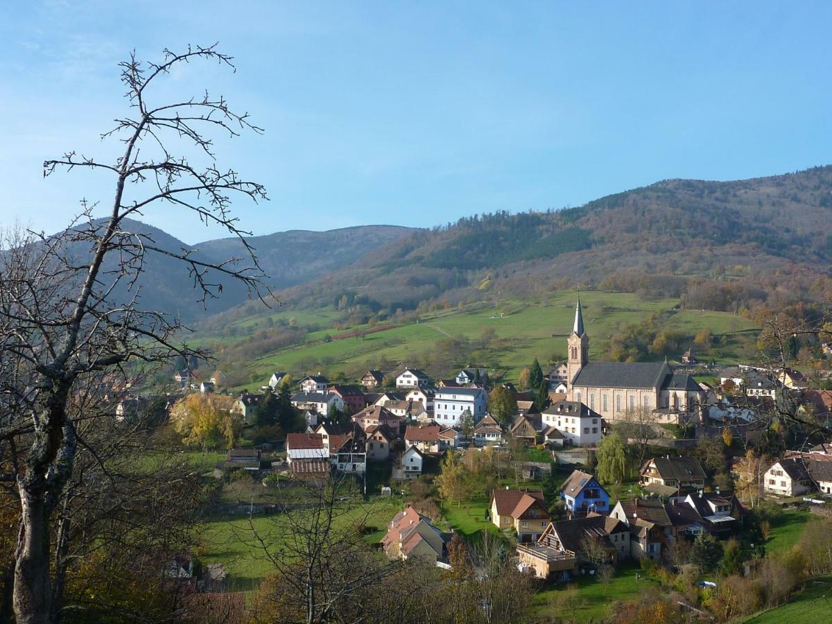 Gite Schlitteur Et Sapiniere Breitenbach 외부 사진